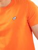 Polera Deportiva Algodón Hombre Lotto