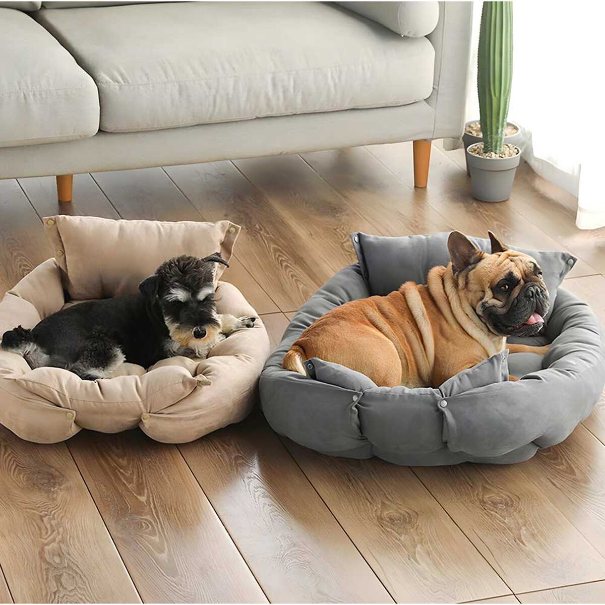 Cama Para Mascota PetWoow