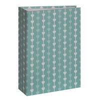 Álbum Vgo Est. Económico Mod 11 100 Fotos