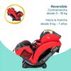 Silla de Auto Convertible Stages Joie