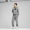 Polerón Urbano Hombre Puma