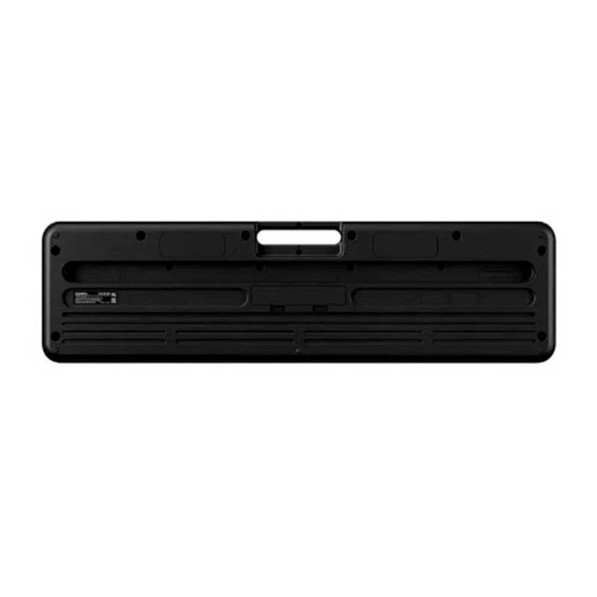 Teclado Casio CT-S100C2 61 teclas