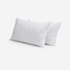 Set 2 Almohadas Rosen Fibra Light 50x90 cm