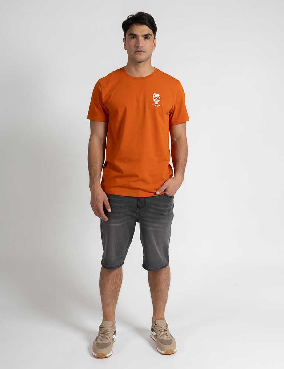 Polera Manga Corta Hombre Zibel