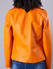 Chaqueta Básica Fiorucci Color