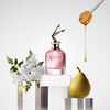 Jean Paul Gaultier Scandal A Paris EDT Spray 50 ml