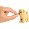 Barbie Guardería de Perritos
