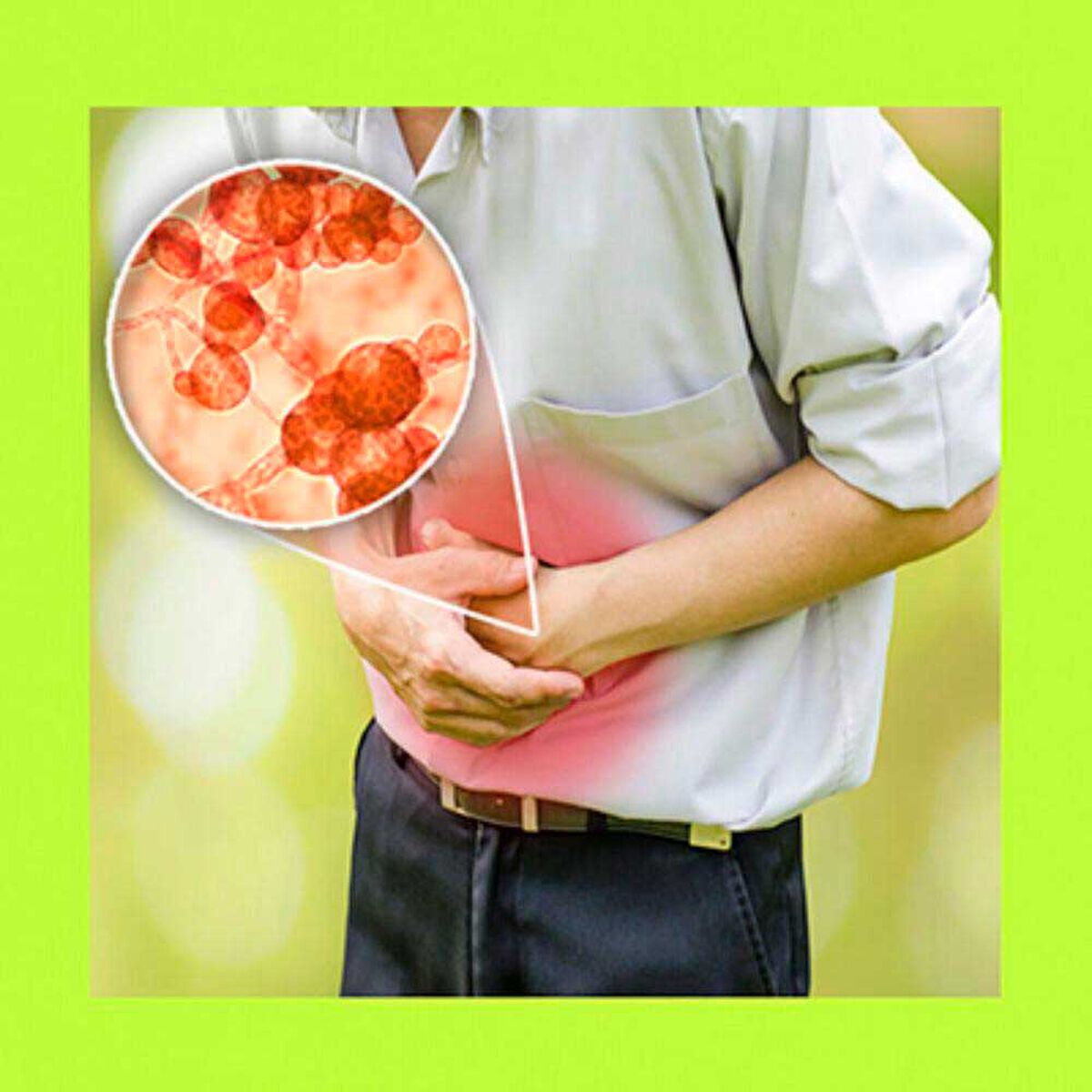 Bacticure 2 Meses X Uno