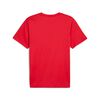Polera Urbano Hombre Puma