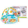 Gimnasio Interactivo Safari 2 Arcos Bebeglo Rs-18390