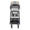 Coche de Paseo Terrain 2G Gris