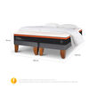 Cama Europea CIC Base Dividida King Bee Comfort + Almohadas + Plumón