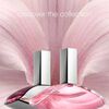 Perfume Calvin Klein Euphoria Mujer EDT 100 ml