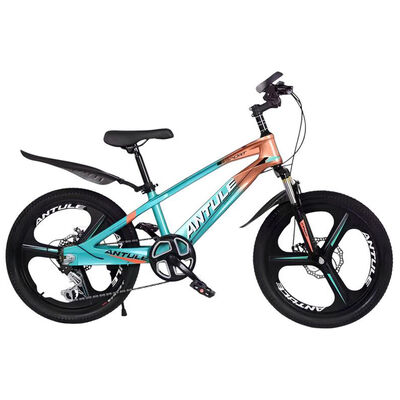 Bicicleta Infantil 8-10 Años Aro 20 Lubabycas Verde