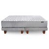 Juegos de Dormitorio Cama Europea Cannon Hybrid Visco 2 Plazas + 2 Almohadas