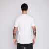 Polera Colo Colo Unisex