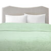 Frazada Illusions Flannel 2 Plazas Liso Olivo