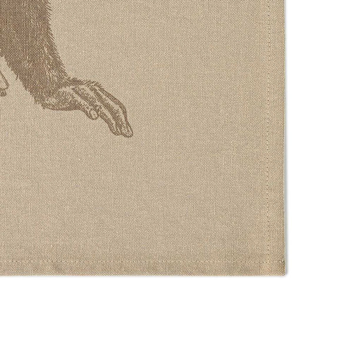 Multi Toalla Elements & Co Olive 50x70 cm Beige