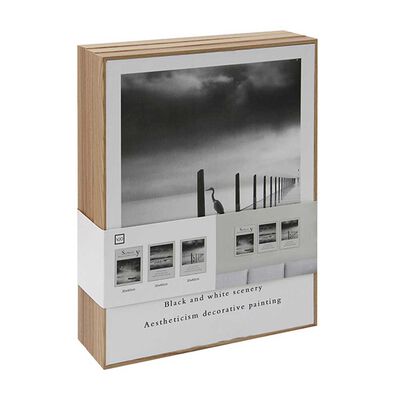 Imagen 2 del producto Set 3 Cuadros para Fotos Plástico Vgo 40 x 30 cm Natural