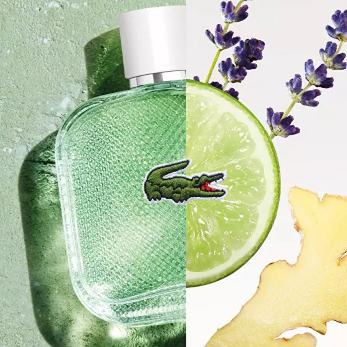 Perfume Lacoste Hombre L.12.12 EDT 50 ML