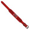 Collar Mascan Grueso Calavera Puntas Redondas Eco cuero para Perro