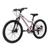 Bicicleta Infantil Oxford Luna Aro 24