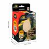 Set Huevo De Dinosaurio - Jurassic World Movie