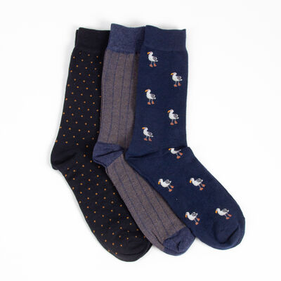 Imagen 1 del producto Pack 3 Calcetines Hombre Zibel Negro