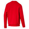 Polerón Hombre Puma Alpha Block Hoody Fl