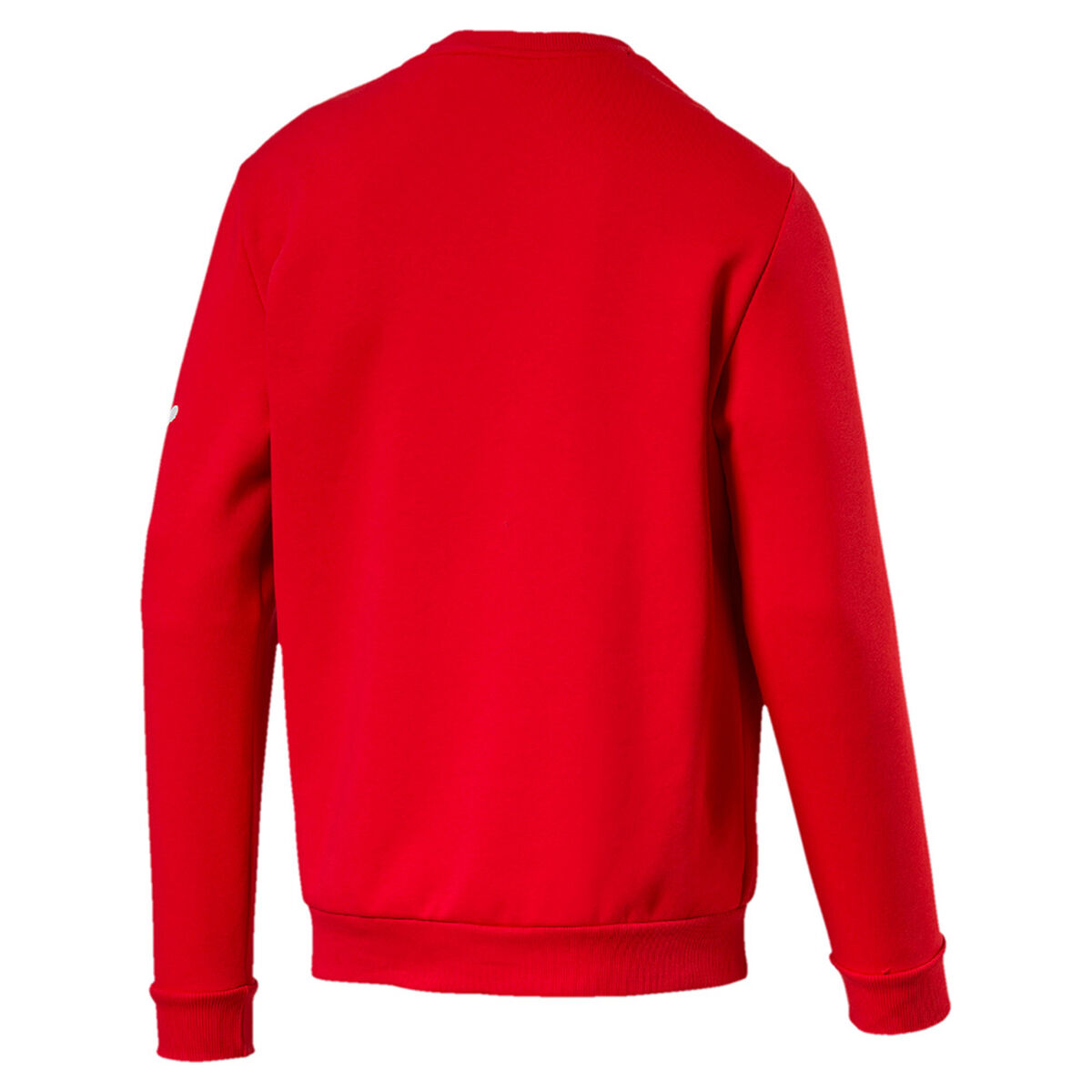 Polerón Hombre Puma Alpha Block Hoody Fl