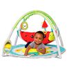 Gimasio Sandia 4 en 1 Infantino