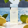 Perfume Dolce & Gabbana Light Blue EDT 100 ml
