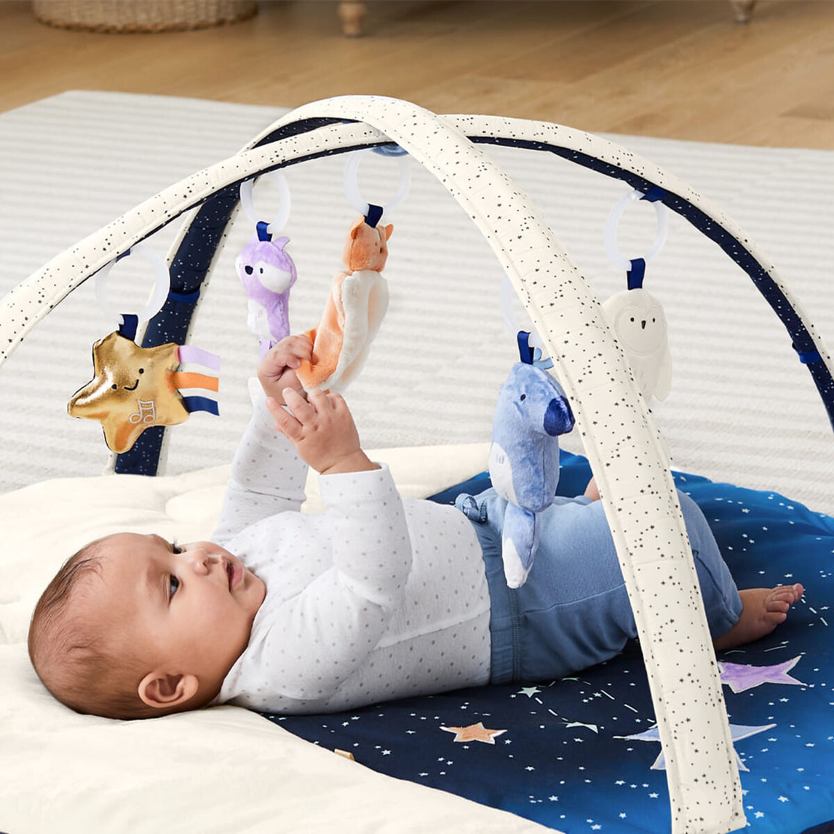 Gimnasio Celestial Dreams Skip Hop