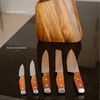 Set 5 Cuchillos Simplit Holz Acero Inoxidable + Taco Café