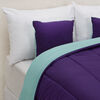 Set Plumón Bicolor + 2 Cojines Casanova 1,5 Plazas Mora Menta