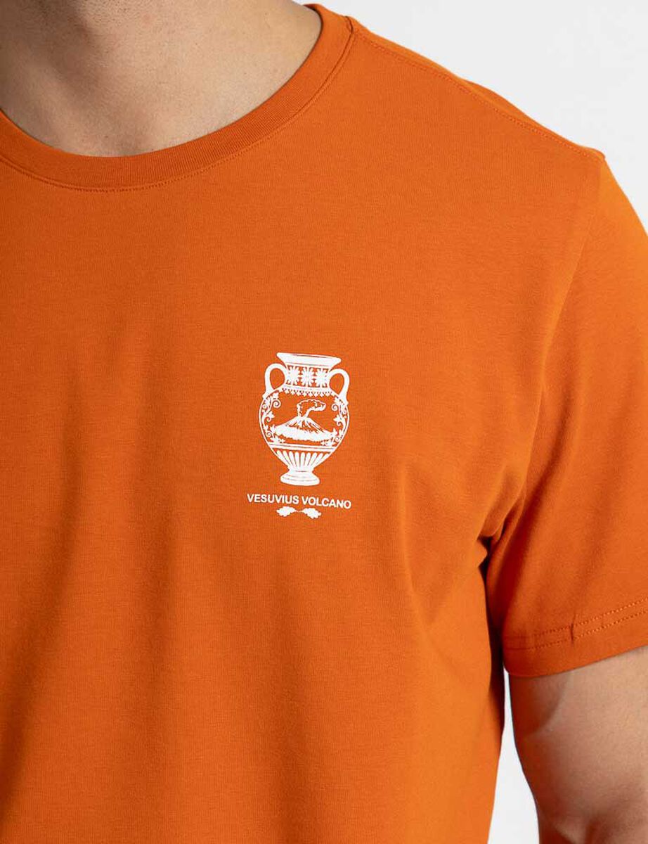 Polera Manga Corta Hombre Zibel