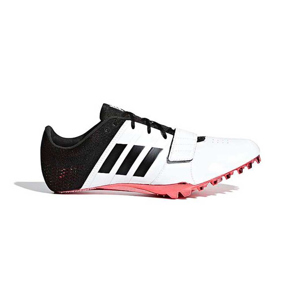 シューズ adidas ACCELERATOR 国内10月19日発売予定】パッカー シューズ × アディダス