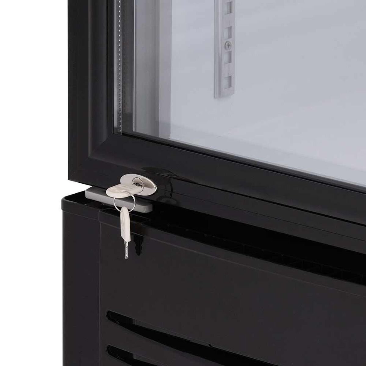 Visicooler Maigas LG268 268 lt