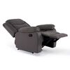Berger Reclinable Eléctrico Daniels 2011CHGR 1 Cuerpo Gris