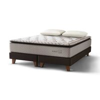 Cama Europea Rosen Base Dividida 2 Plazas Nest + 2 Almohadas Memory Max