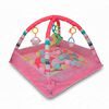 Gim Corral Pelota Rosado Bebesit