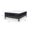 Cama Europea CIC King Grand Premium