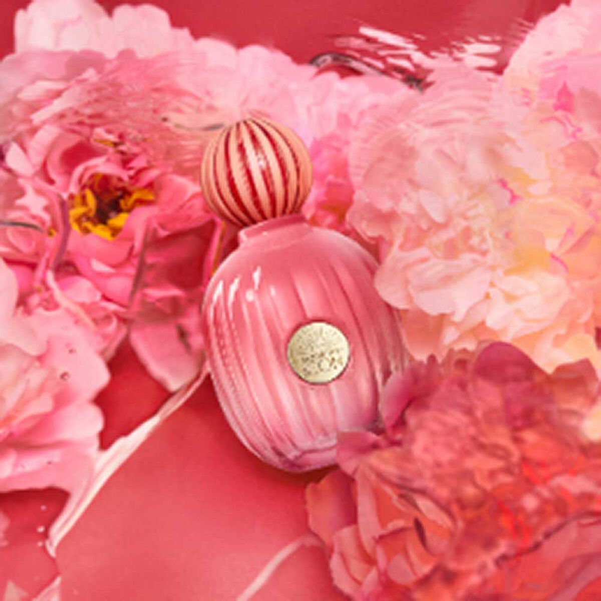 Perfume Mujer Antonio Banderas The Icon Splendid EDP 50ml