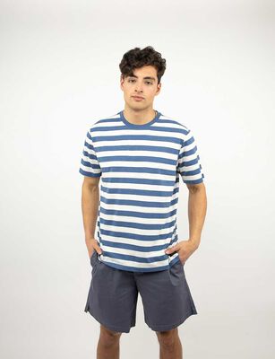 Imagen 1 del producto Polera Estampada Manga Corta Hombre Icono Azul, Beige, Cafe, Gris, Verde