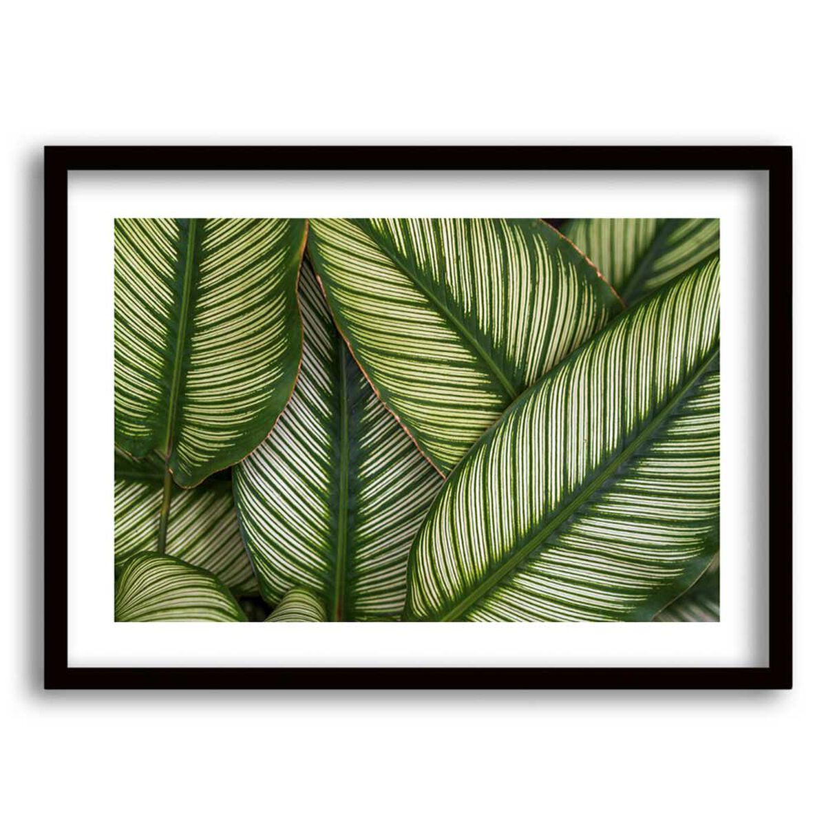 Cuadro Decorativo Retela Hojas Verde 70 x 50 cm