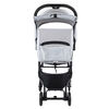Coche de Paseo Epic Compact Grey