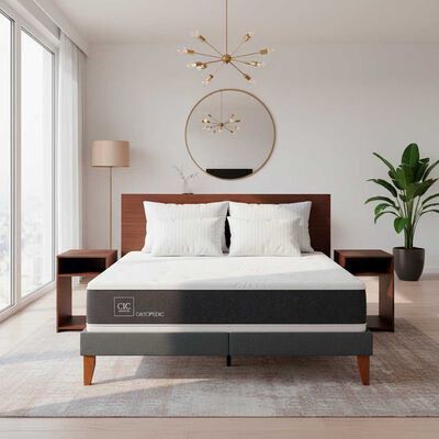 Combo Cama Europea CIC 2 Plazas New Ortopedic + Respaldo 2 Plazas + 2 Veladores Casanova Nogal  + Pack Almohadas Casa Linda 65x45cm