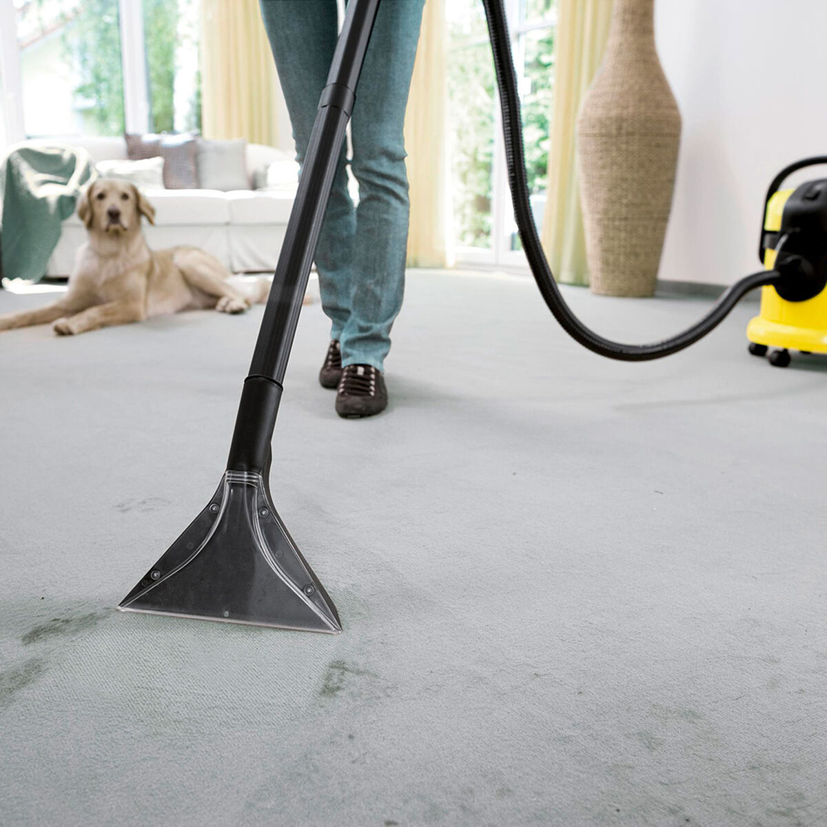 Aspiradora Lava Alfombras Karcher SE4001