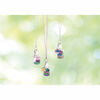 Set de Joyería Terrario