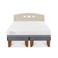 Cama Europea CIC Base Dividida 2 Plazas Excellence Plus + Respaldo Gales Alpino